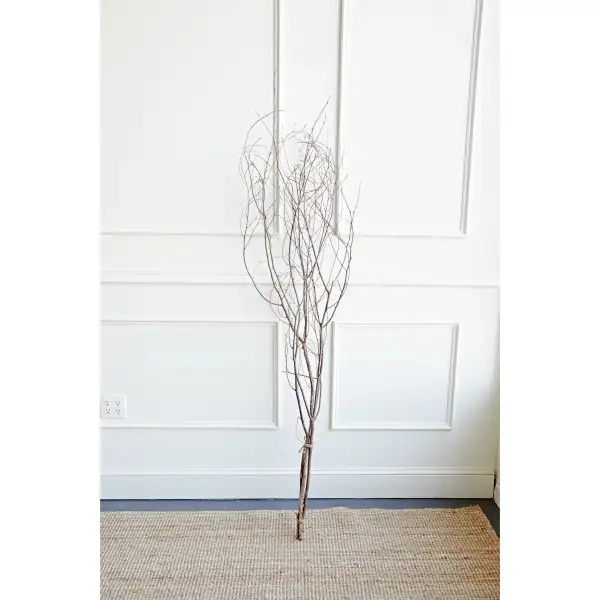 Simple Everyday Home Accent Branches