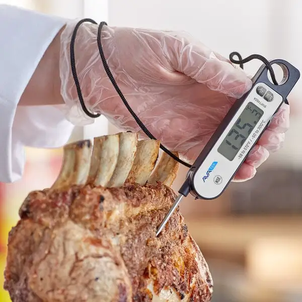 Digital Folding Probe Thermometer with Magnet