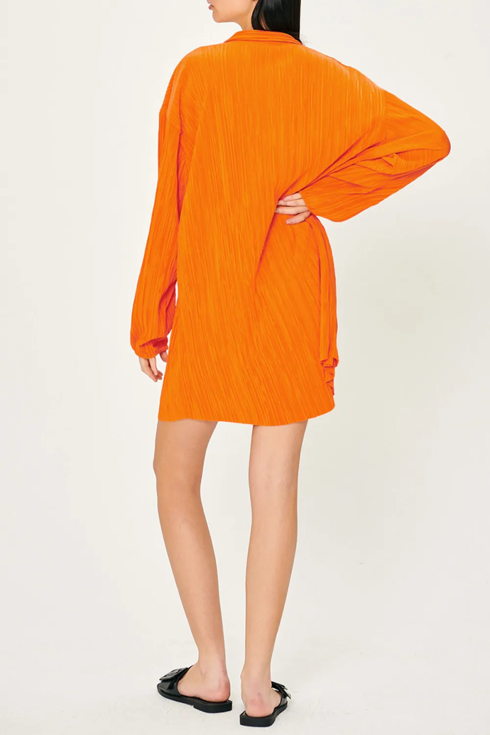 Plisse Shirt Dress