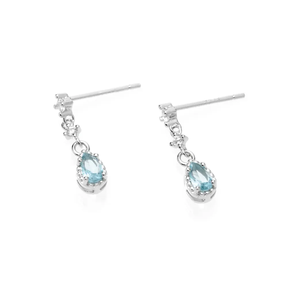 Teardrop Crystal Drop Earrings
