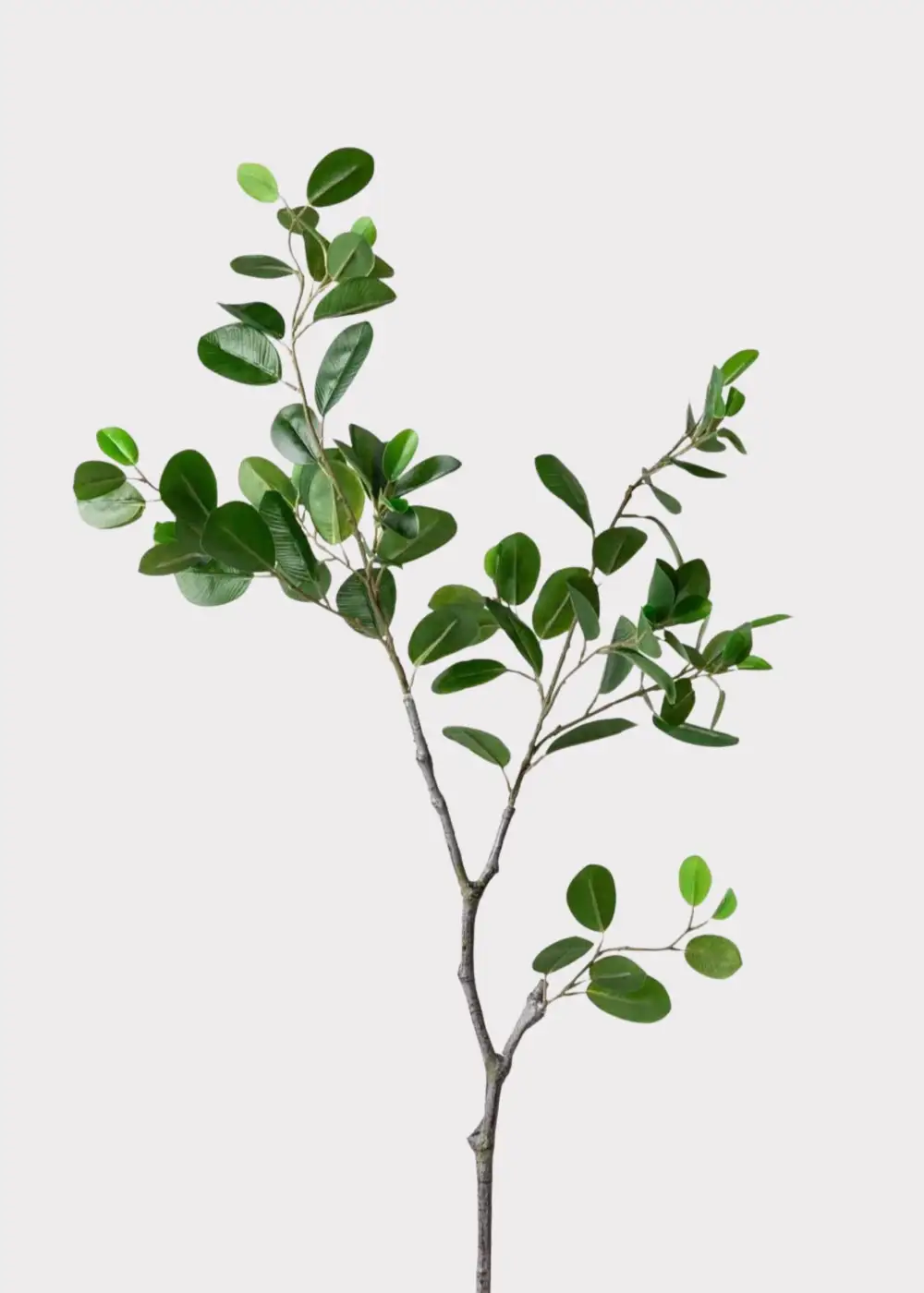 Artificial Ficus Branch