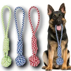 Braided Dog Rope Toy