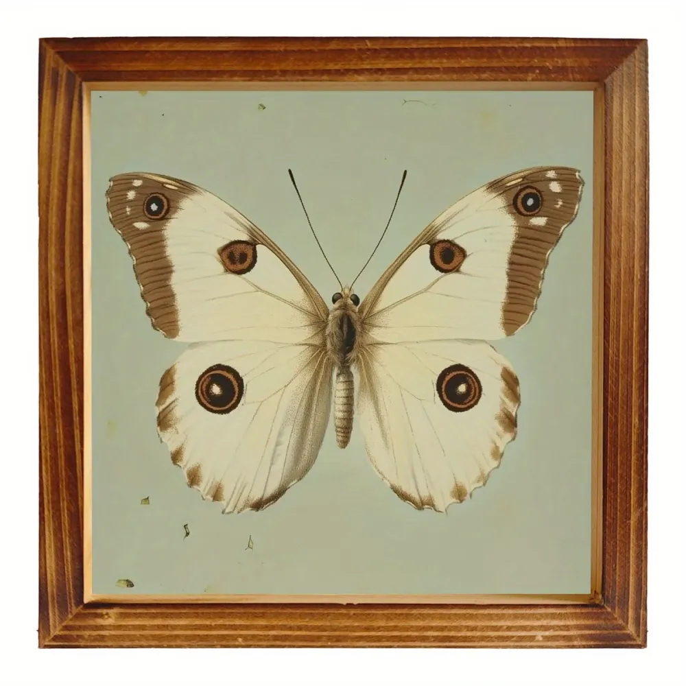 Butterfly Print Wooden Frame Art