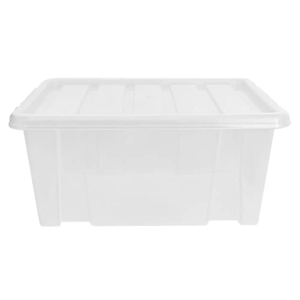 Everyday Clear Lid Storage Box