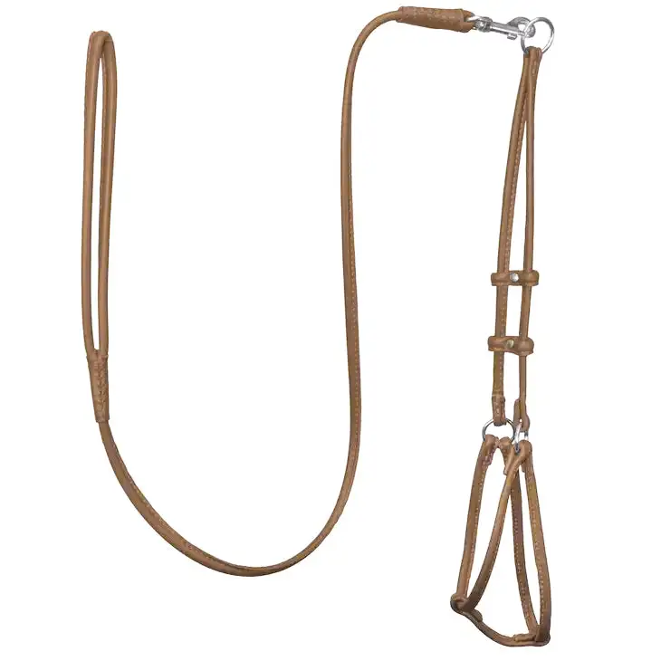 Adjustable Everyday Lightweight Dog Harness