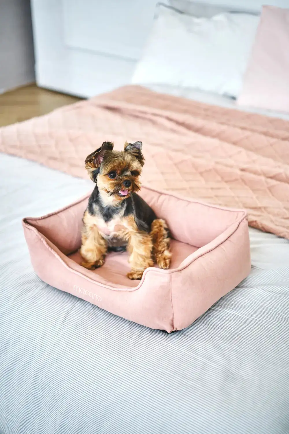Soft Touch Pet Resting Bed