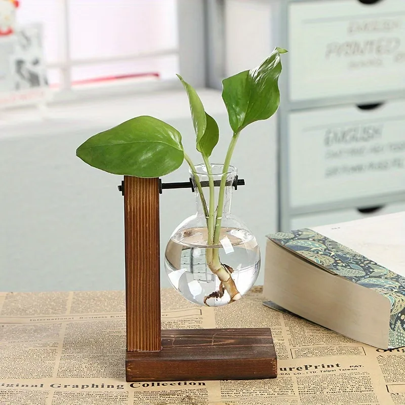 Glass Test Tube Planters