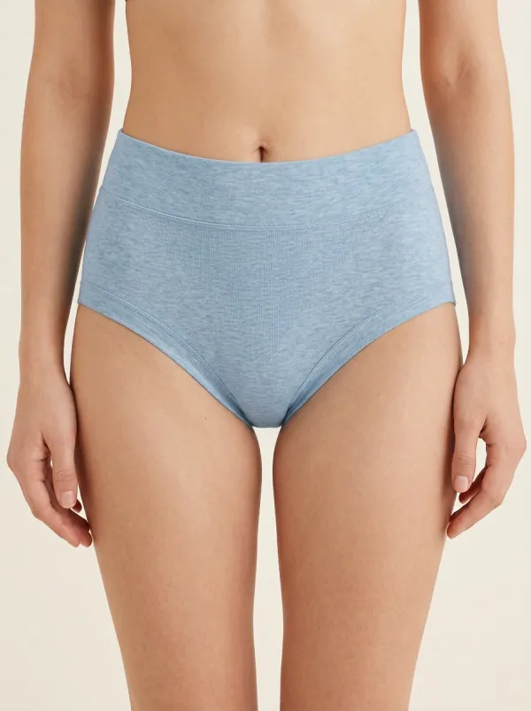 Classic Seamless High-Waisted Heathered Edit Women's Panties