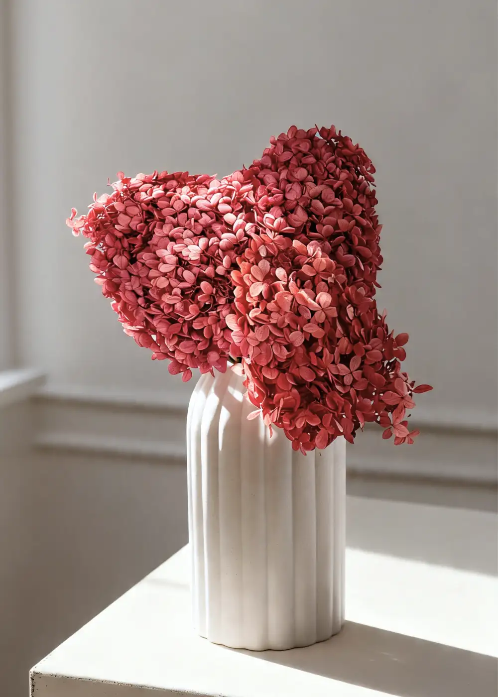 Preserved Hydrangea Stems Bundle