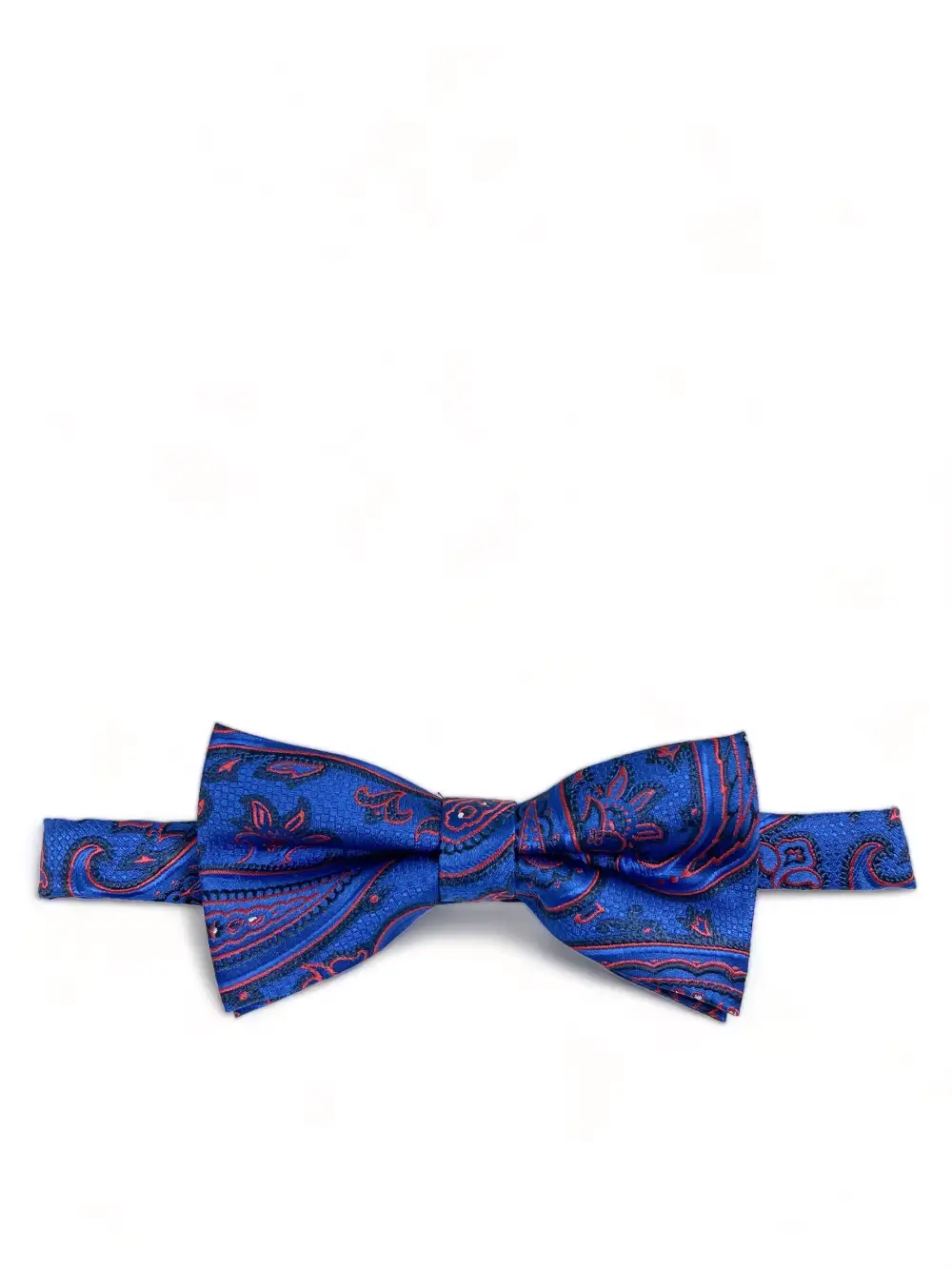 Dapper Artful Paisley Polyester Bow Tie