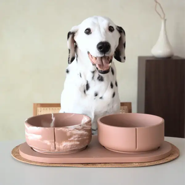 Slow Feed Round Adjustable Decorative Pet Feeder