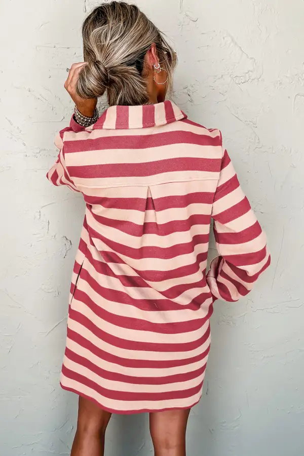 Street Ready Striped V-Neck Collared Mini Dress