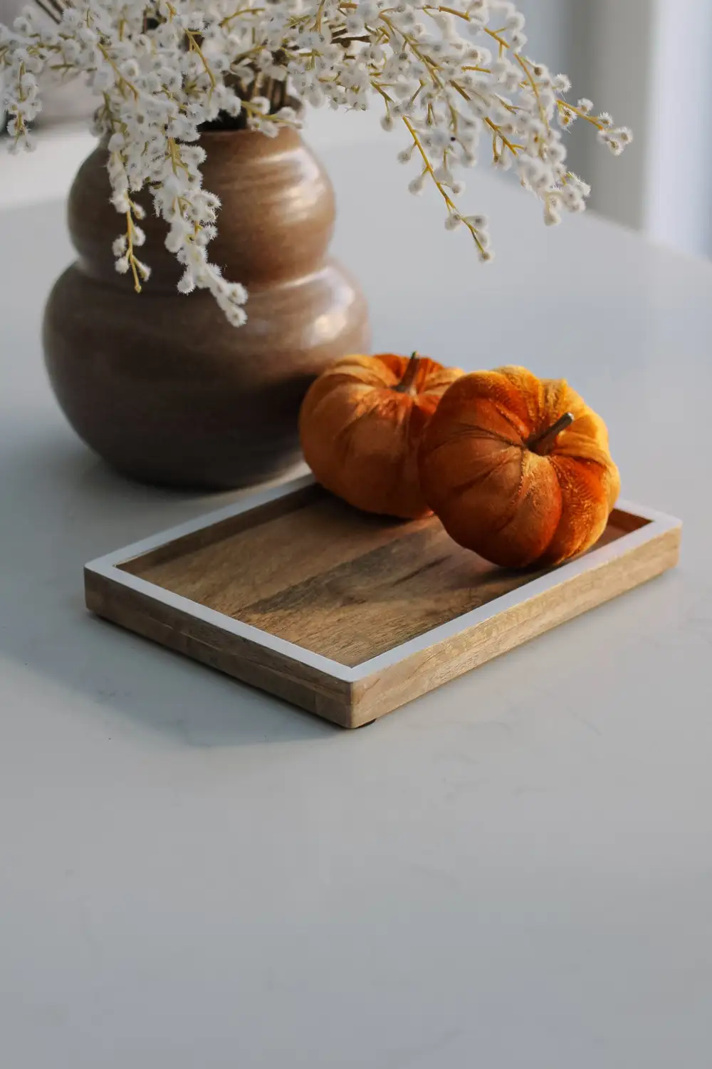Refined Small Mango Wood Tray