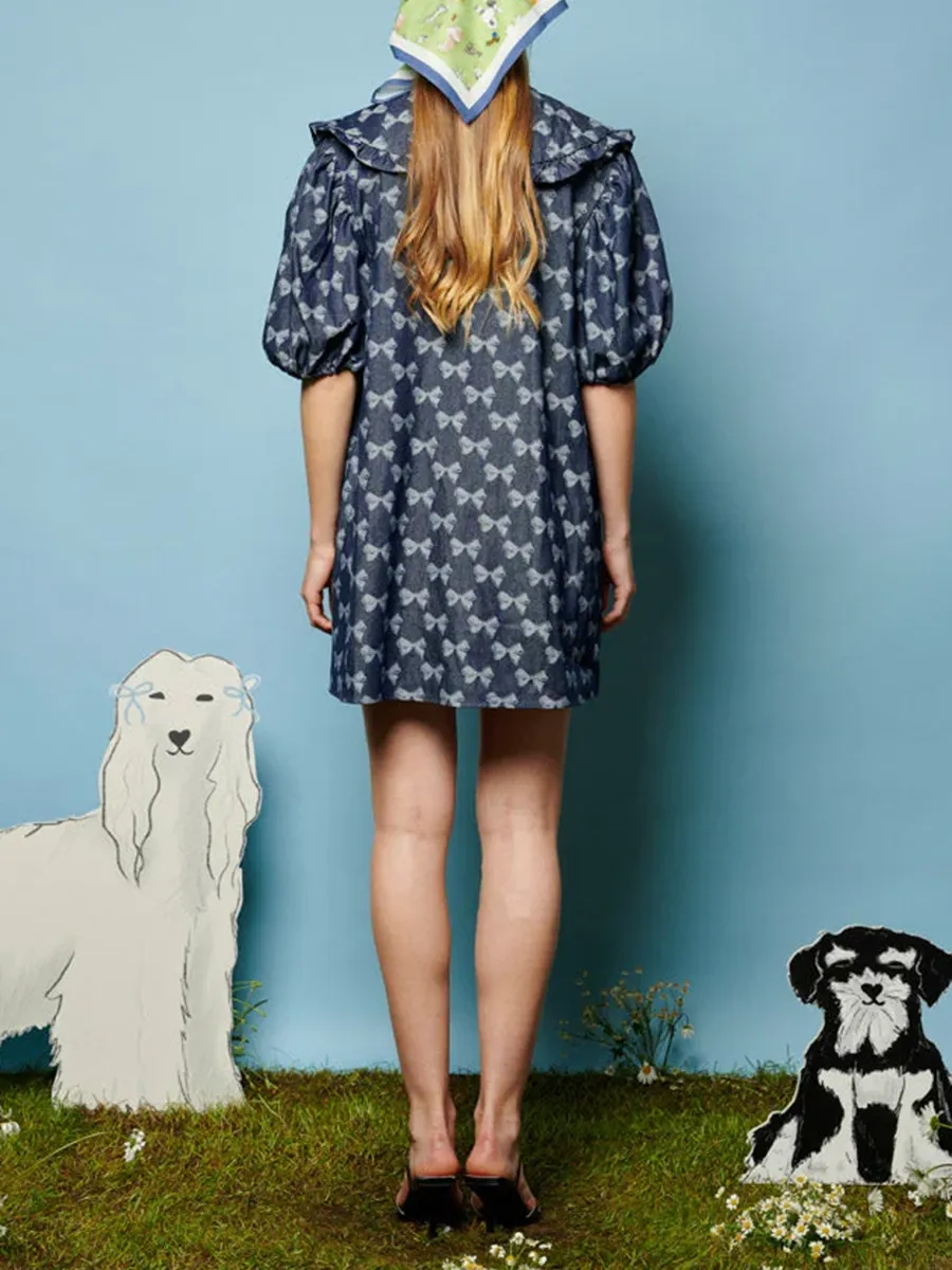 Denim Mini Dress