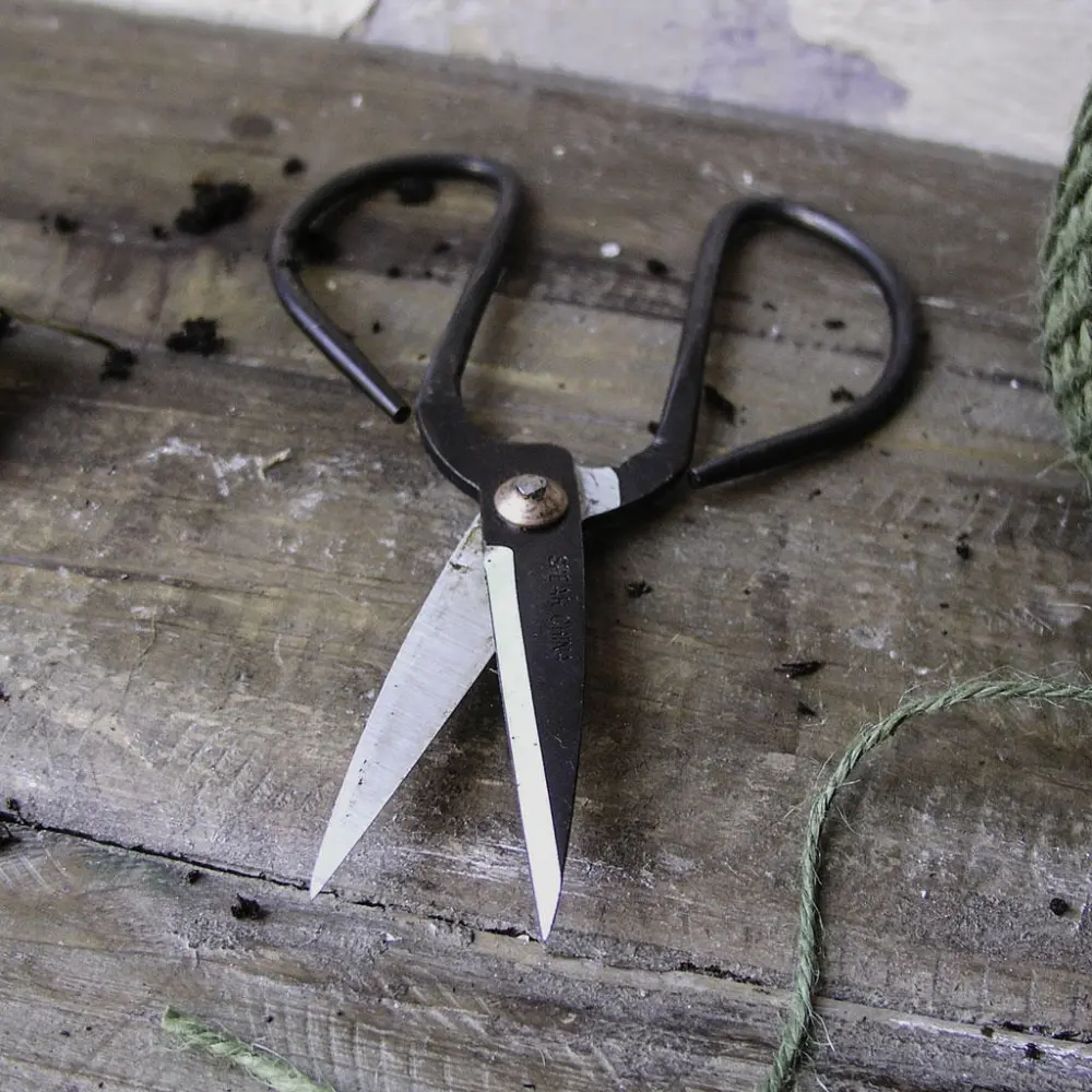 Traditional Garden Flower Scissors