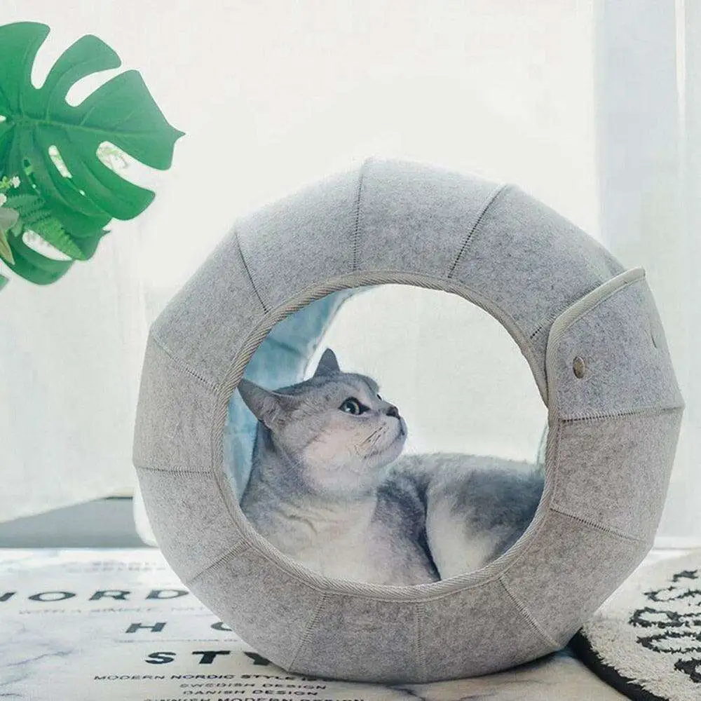 Cozy Conch Home Furniture