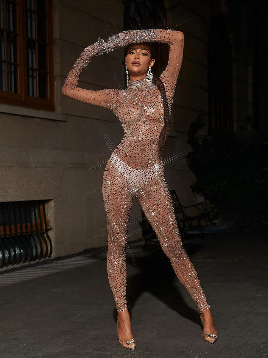 Ally Rhinestone Mesh Jumpsuit In Silver