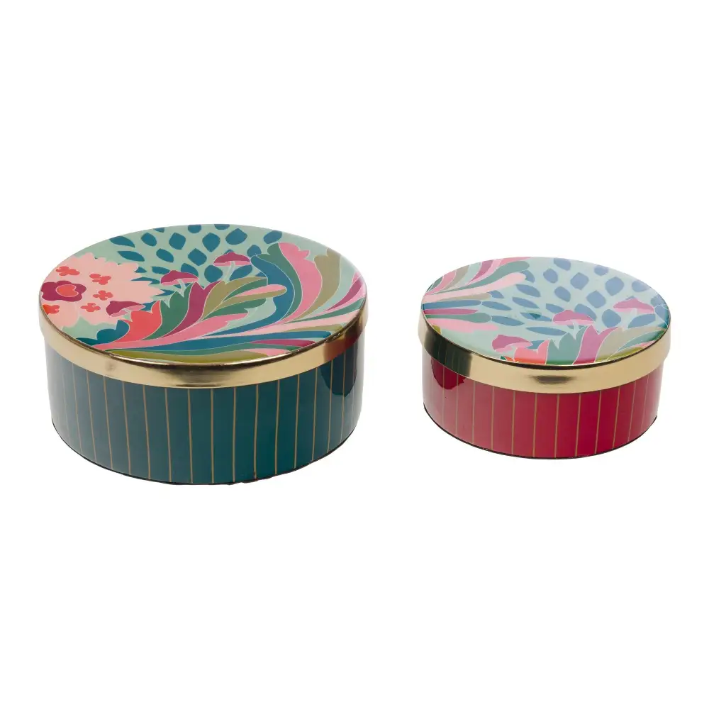 Colorful Metal Decorative Storage Tin