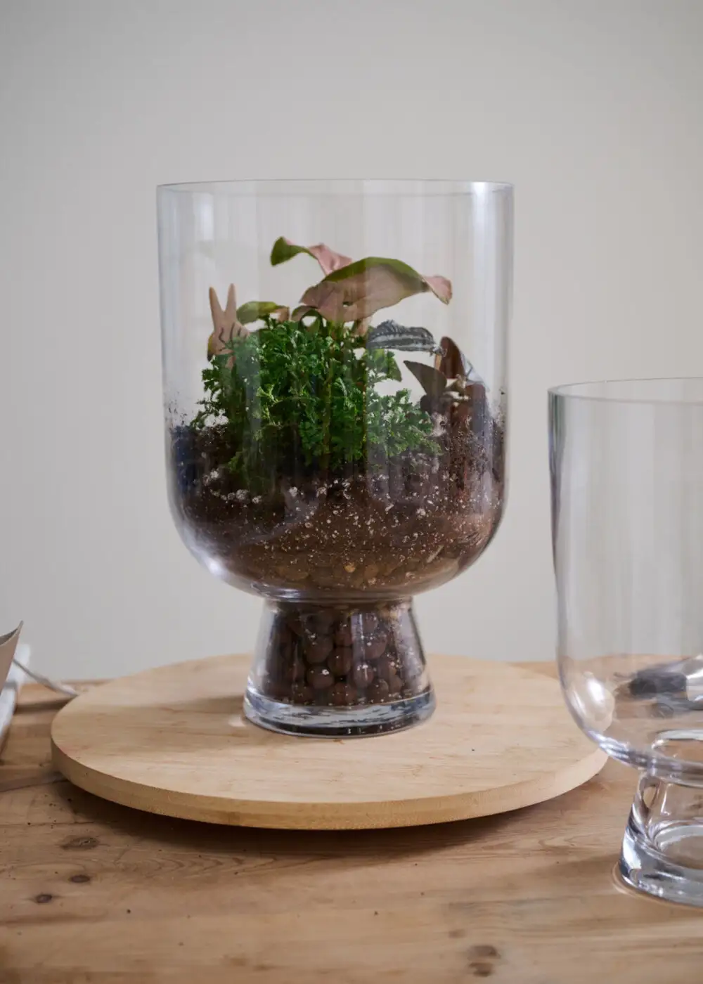 Clear Glass Reservoir Terrarium Footed Vase