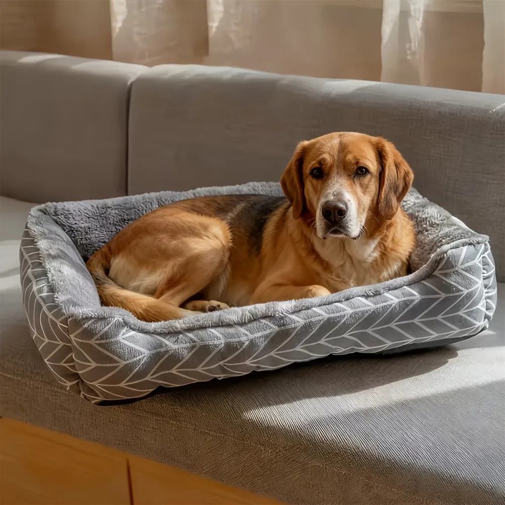 Cozy Dog Couch Bed