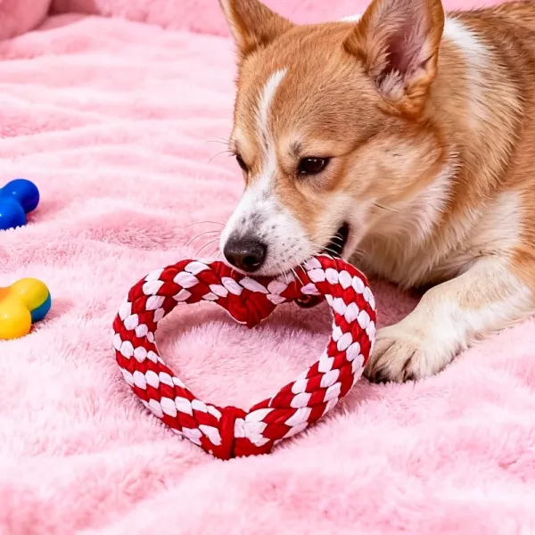 Heart Rope Dog Toy