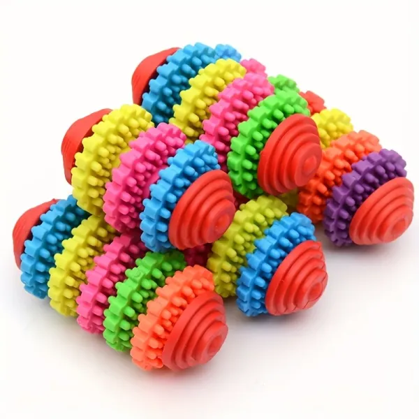 Dog Multi-Color Molar Toy
