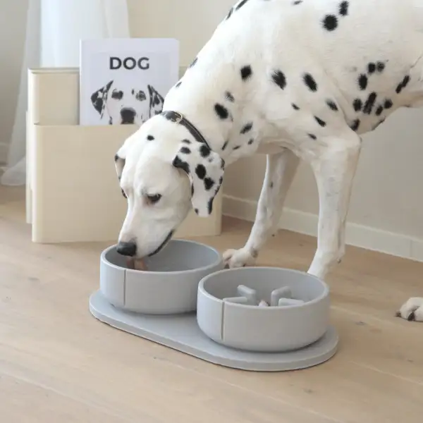 Slow Feed Round Thoughtful Daily Pet Feeder
