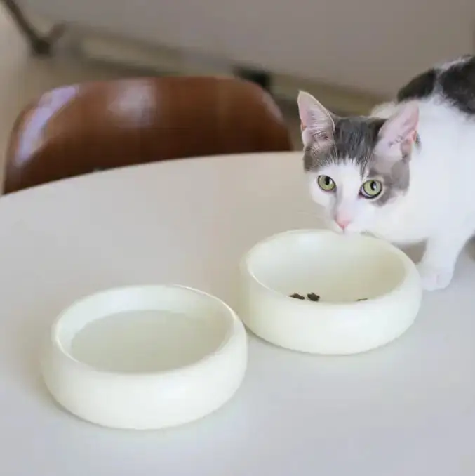 Round Playful Easy Pet Bowl