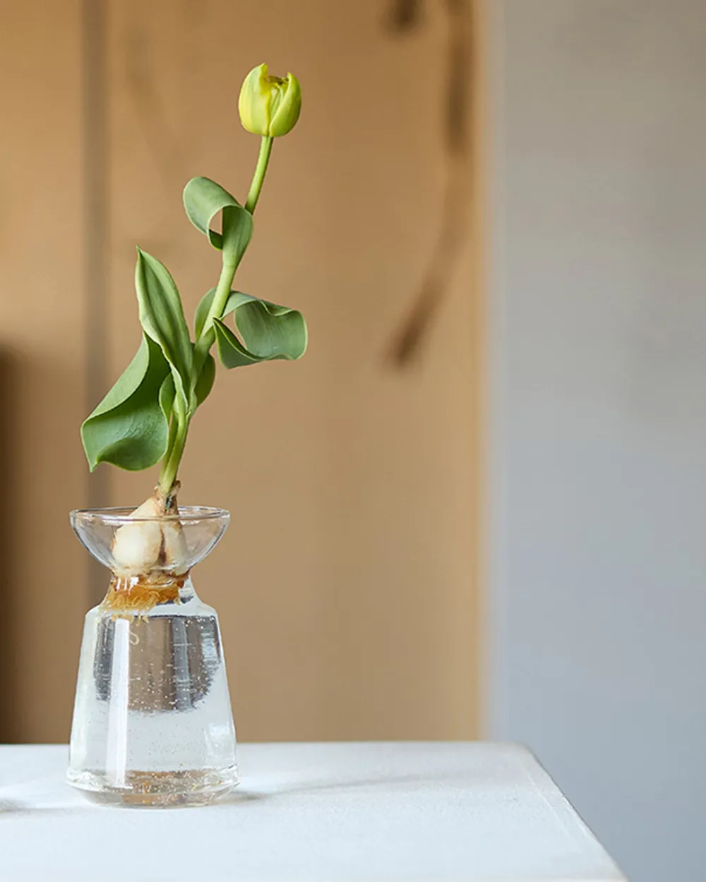 Recycled Glass Flower Vase Collection