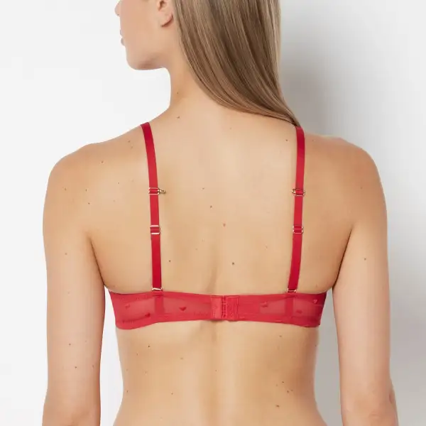 Delicate Up Cup Plunge Bra With Heart Mesh