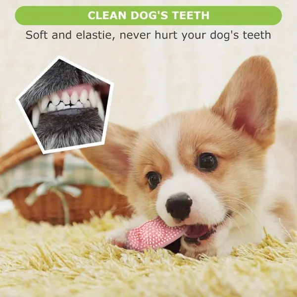 Puppy Teething Toy Set