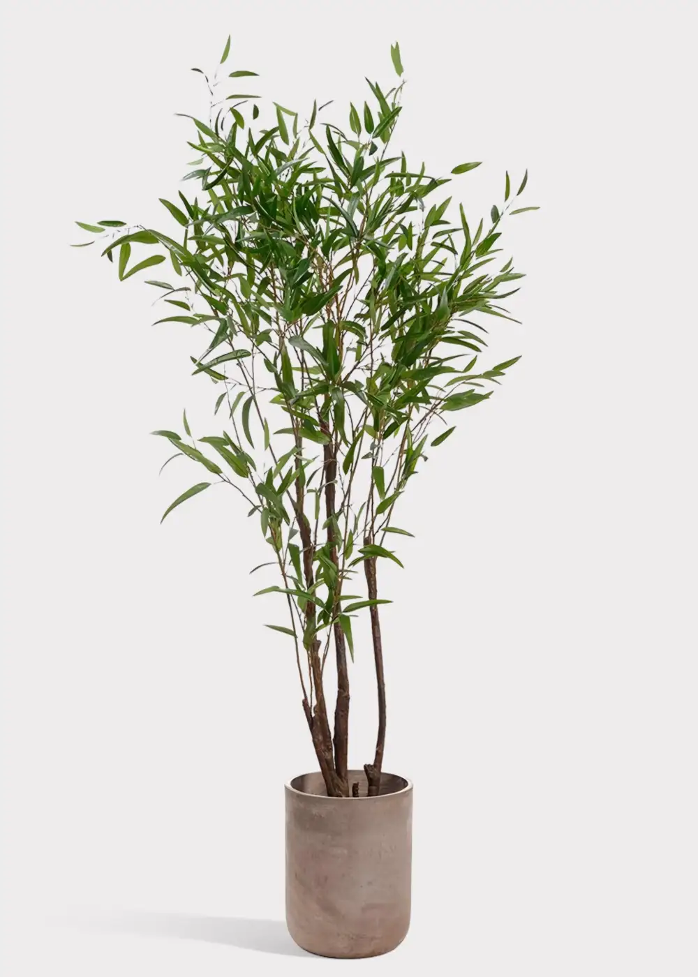 Artificial Bamboo Tree Potted Plant
