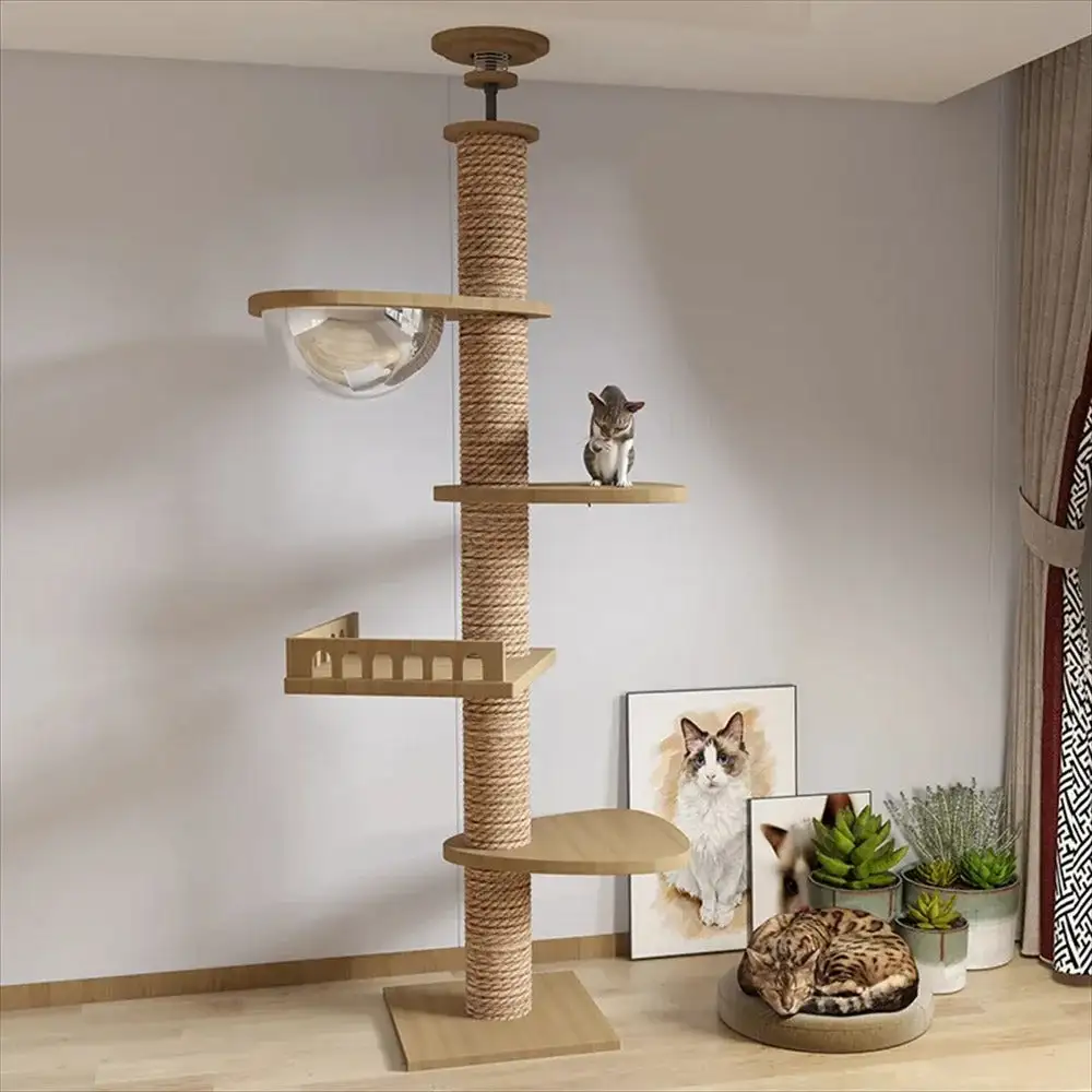 Cozy Feline Resting Structure
