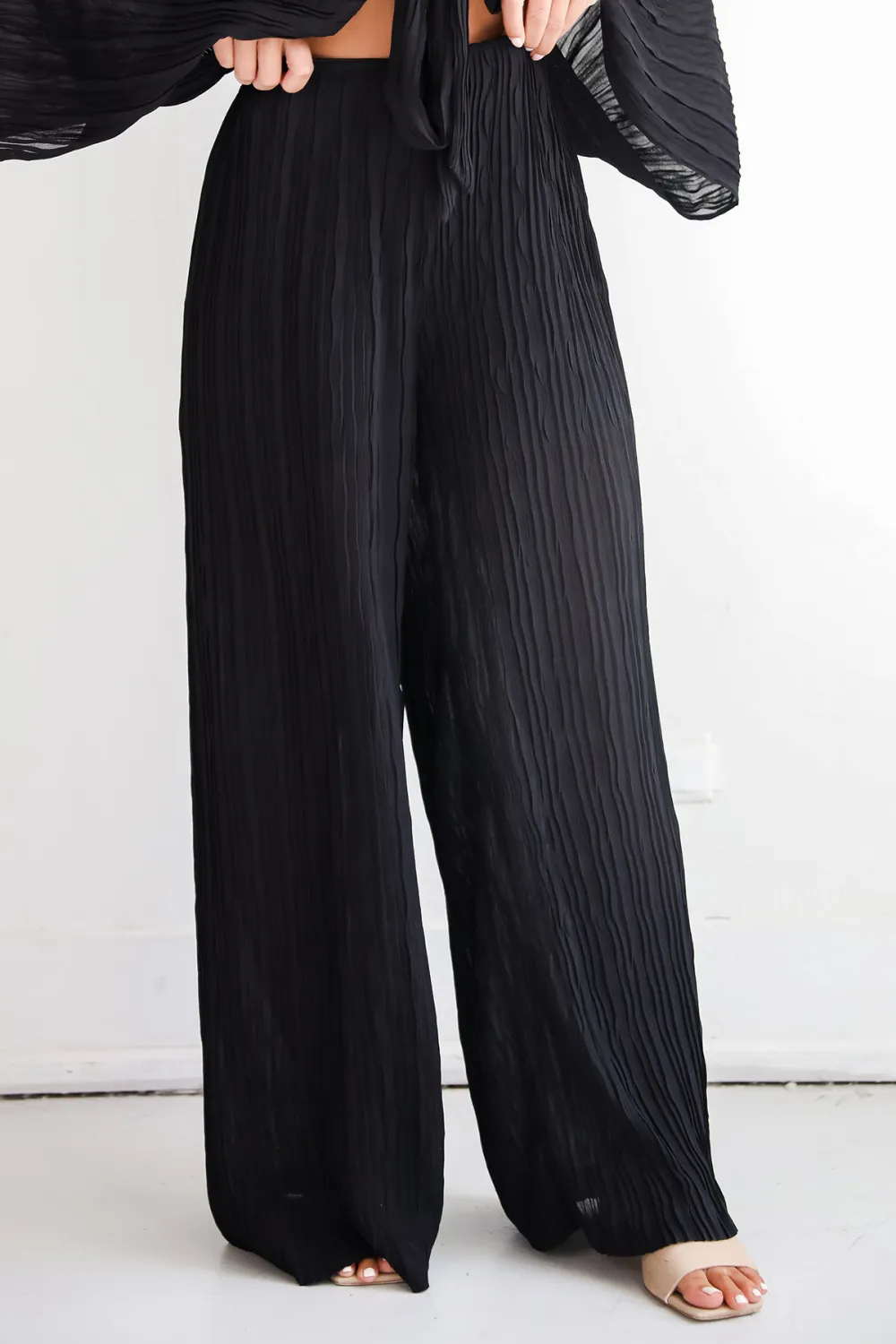 Black Pleated Wide Leg Pants
