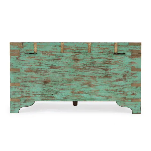 Storage Trunk Wood Brass Detail Coffee Table