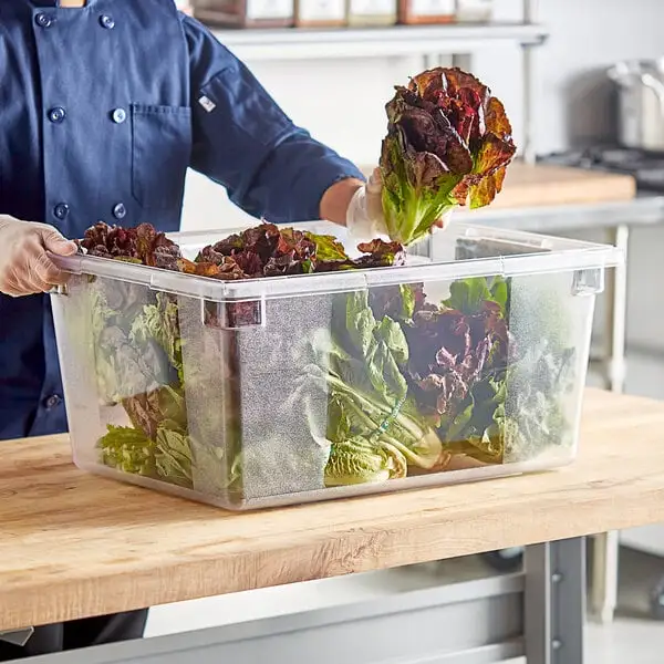 Everyday Polycarbonate Food Storage Box