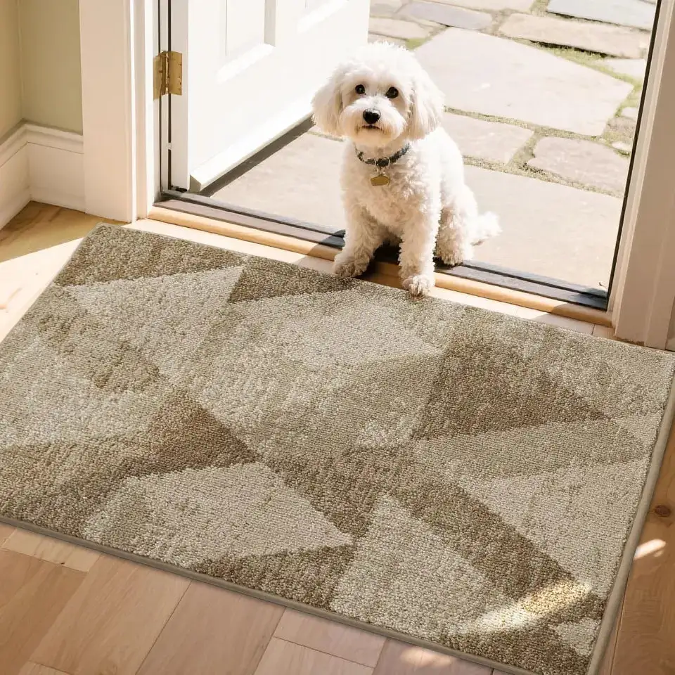 Geometric Abstract Indoor Door Rug