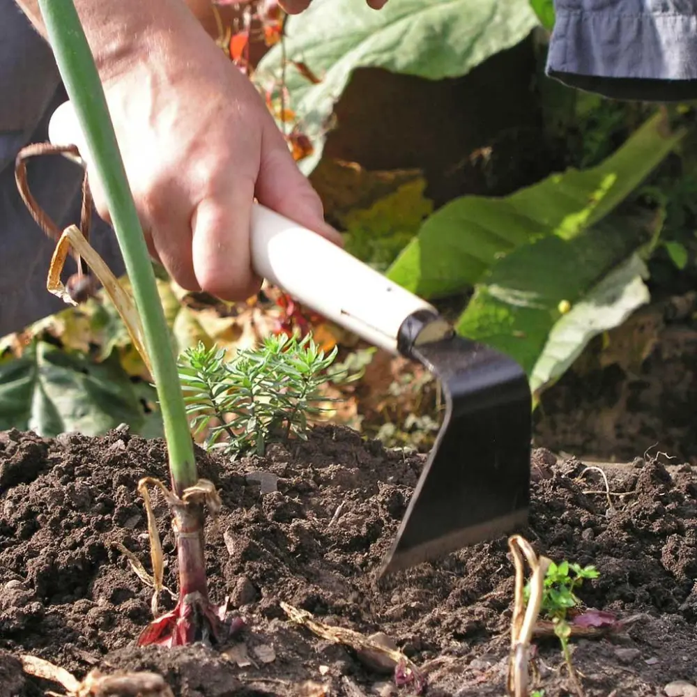Garden Vegetable Hand Hoe