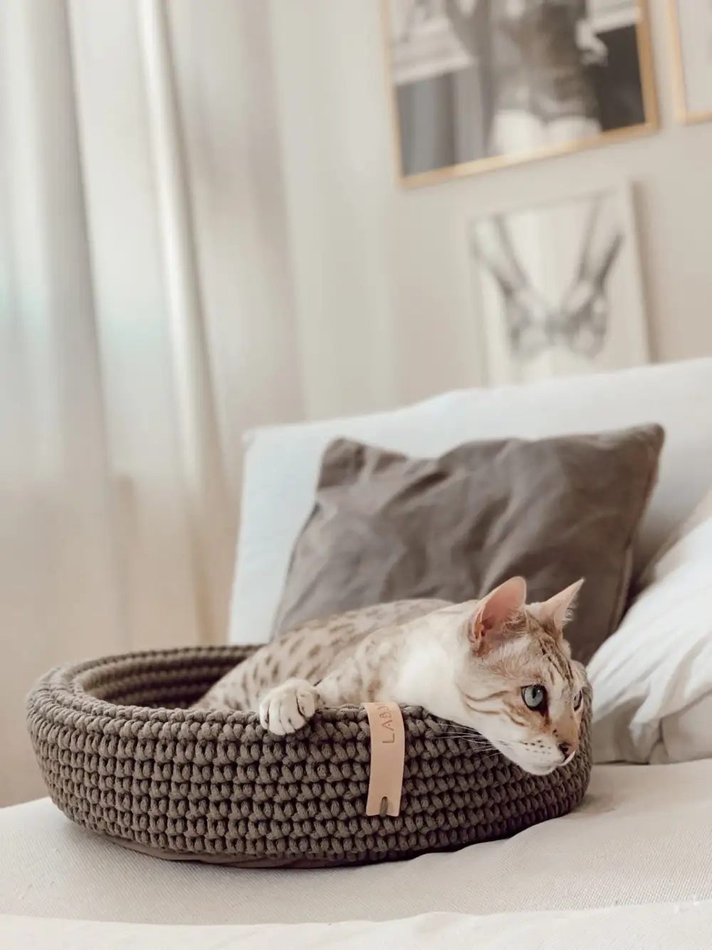 Cozy Cat Rest Basket