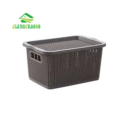 Rattan Style Storage Box
