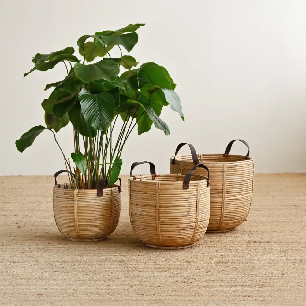 Rattan Handled Storage Basket