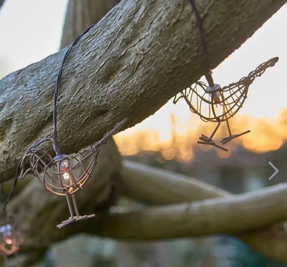 Refined Bird String Lights