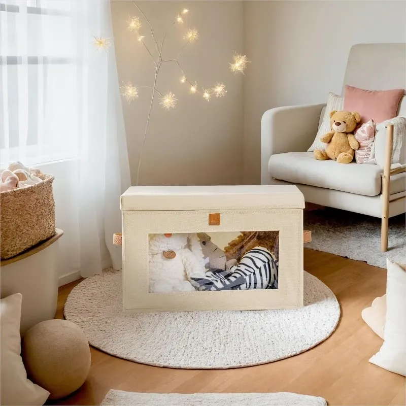 Visible Foldable Storage Box