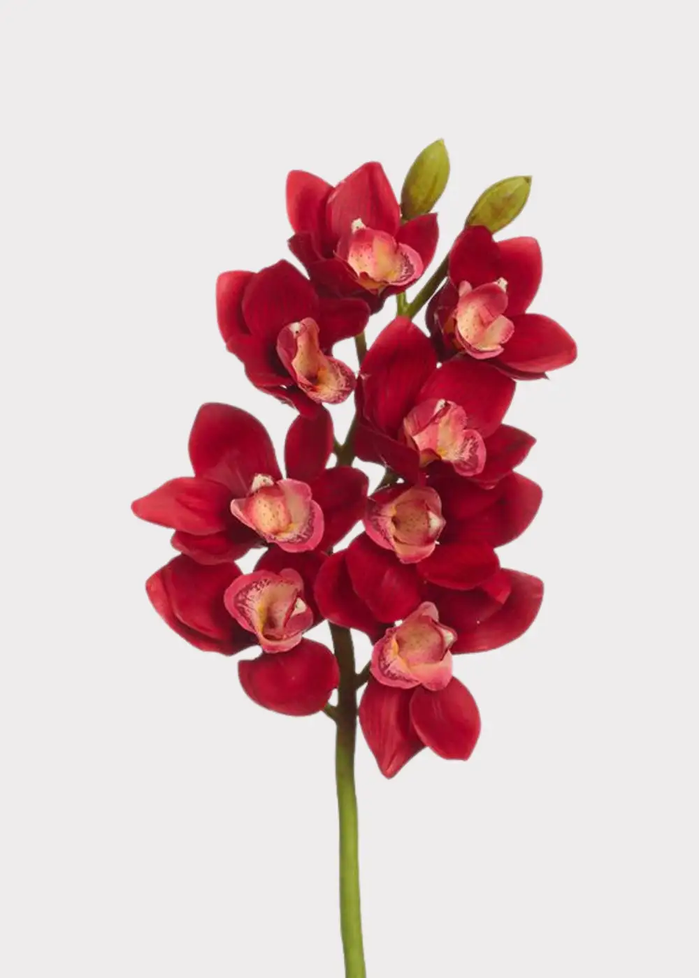 Artificial Graceful Cymbidium Orchid Floral Stem