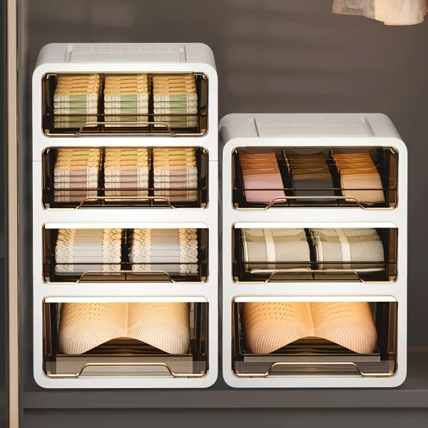 Durable Multi-Drawer Lingerie Storage Unit, Closet Essential for Categorized Intimate Wear Organization