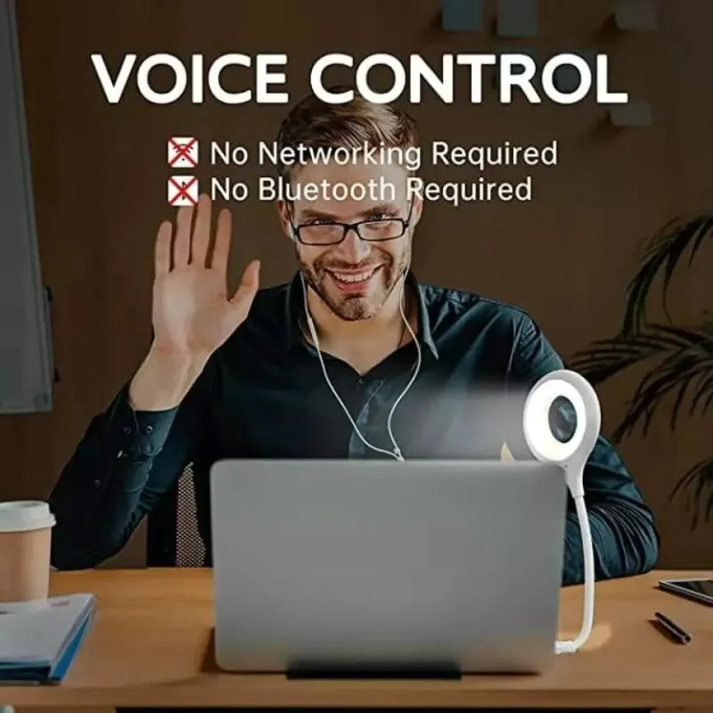 Voice Control USB Light