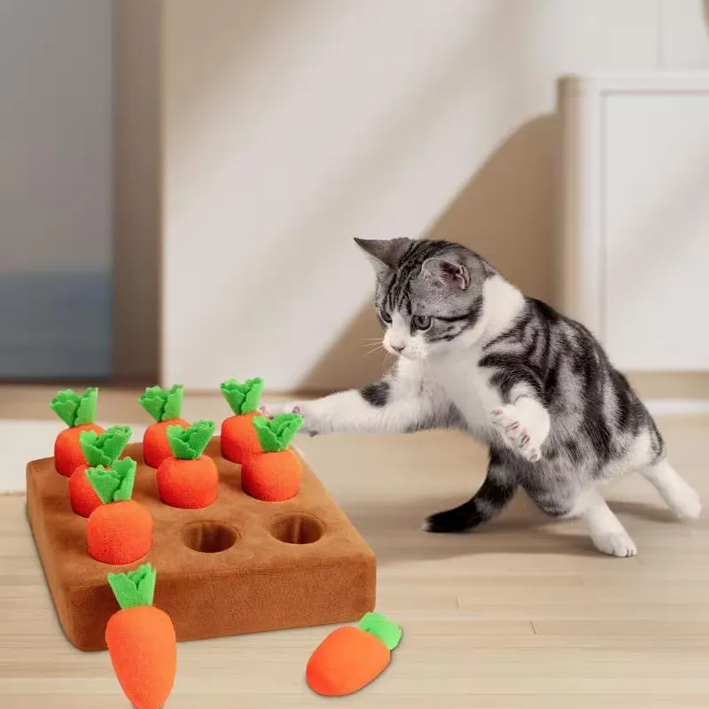 Interactive Carrot Cat Toy