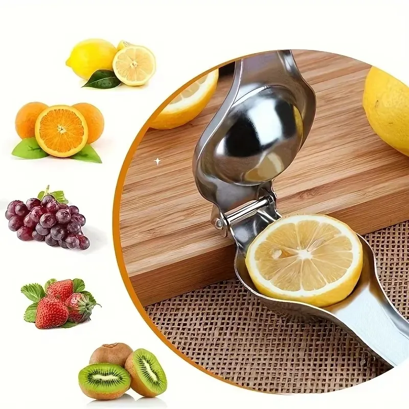 Practical Fruit Juicer