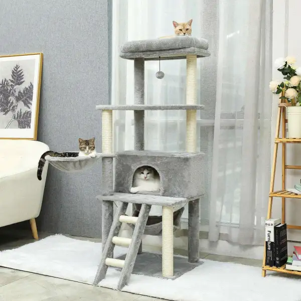 Plush Scratch Home Furniture