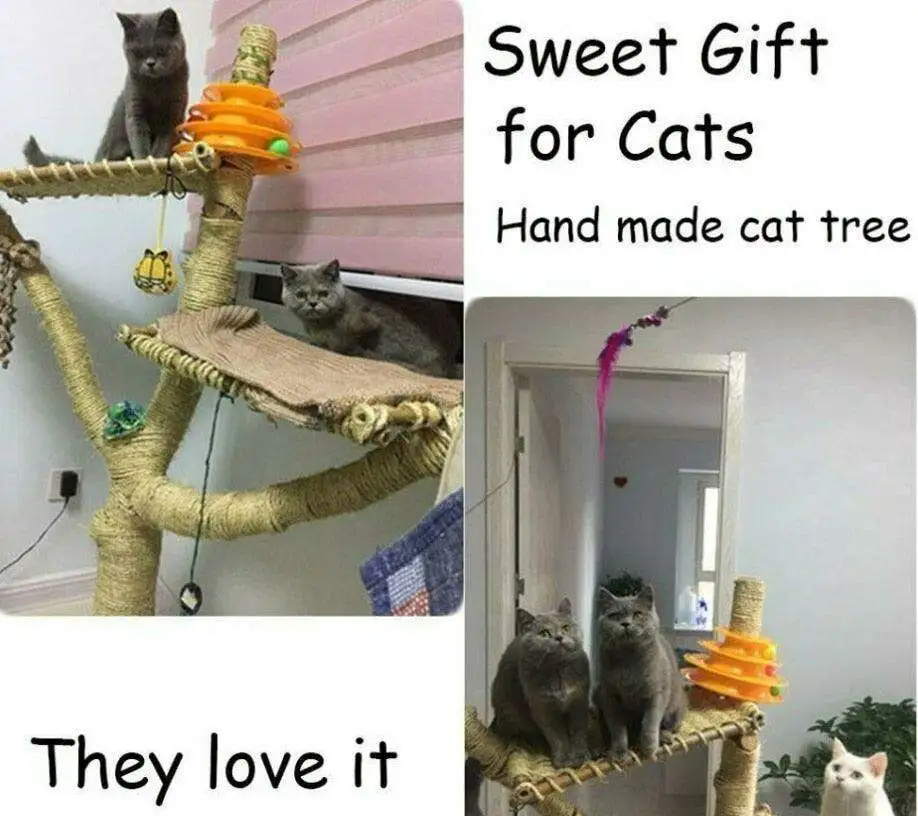 Sisal Cat Scratching Post